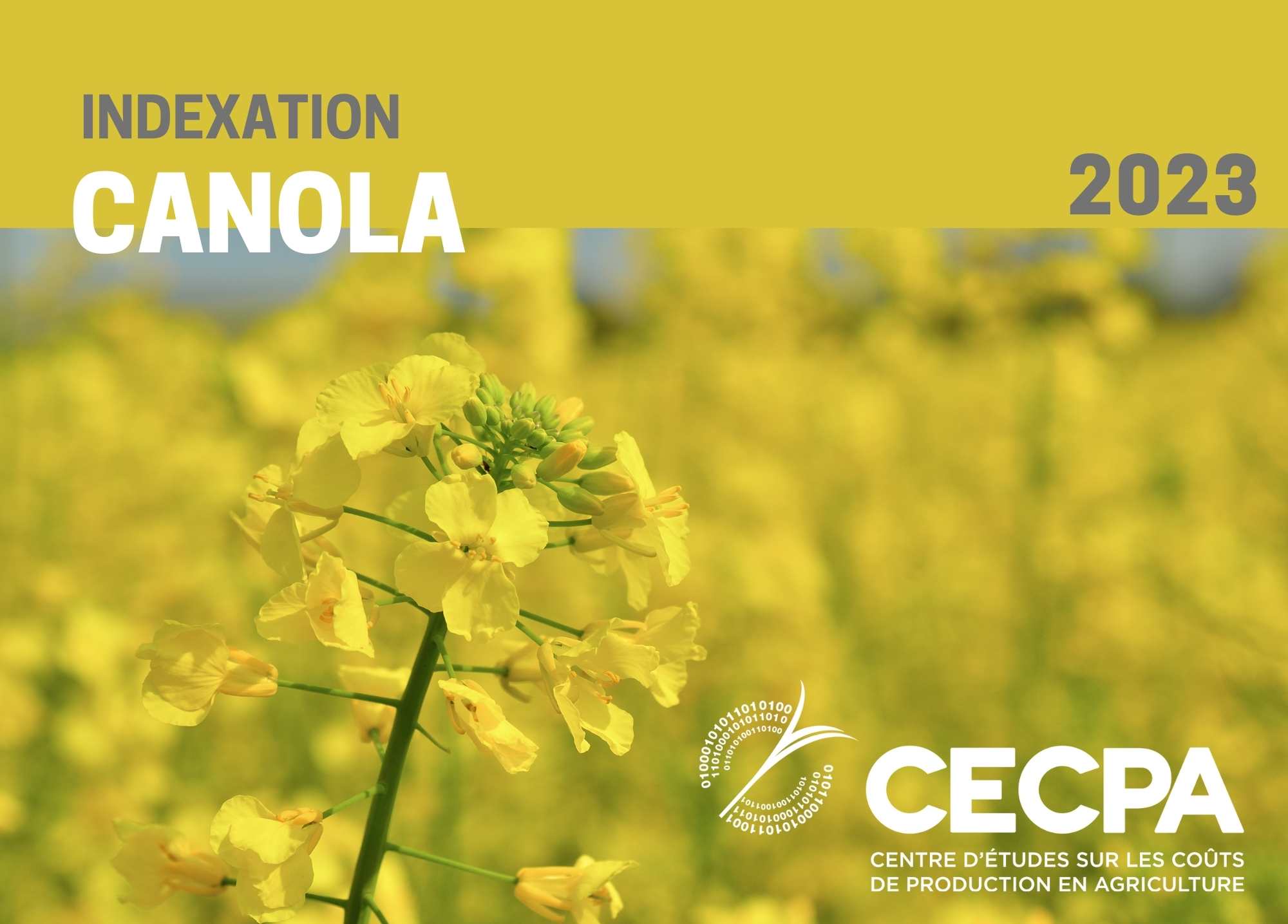 Informations complémentaires : INDEXATION 2023 - CANOLA